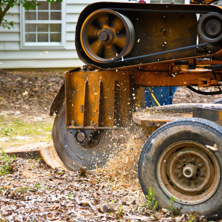 Stump Grinding
