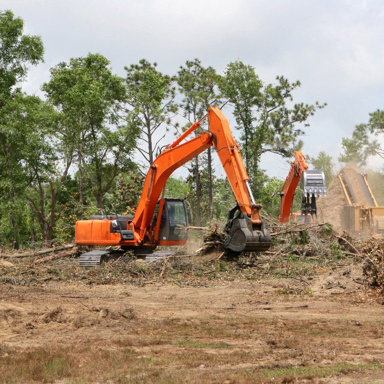 Land Clearing Land Clearing