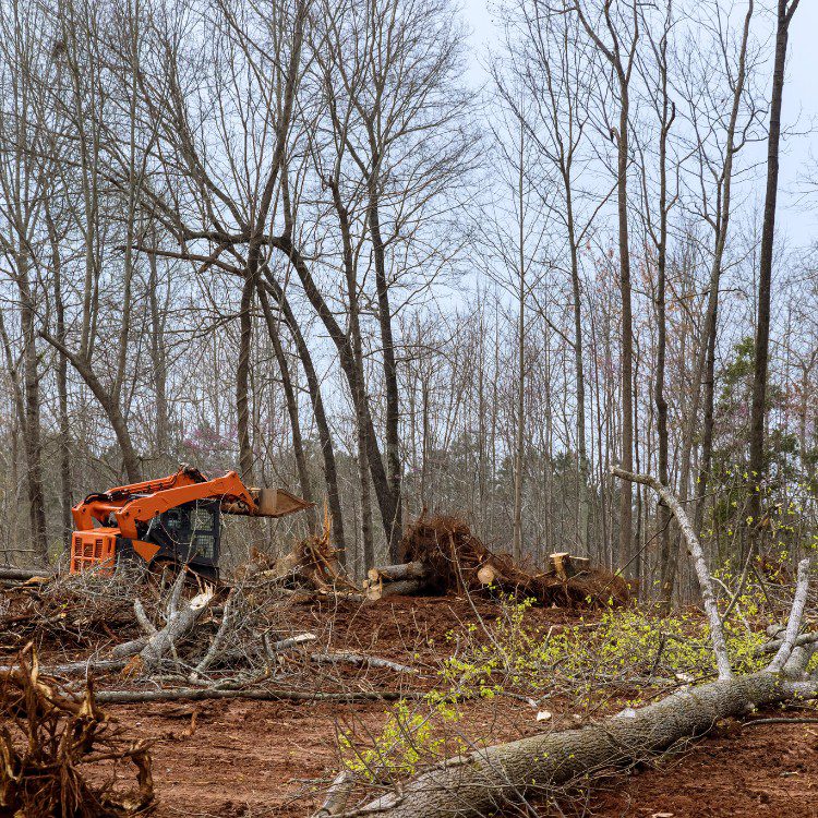 Land Clearing