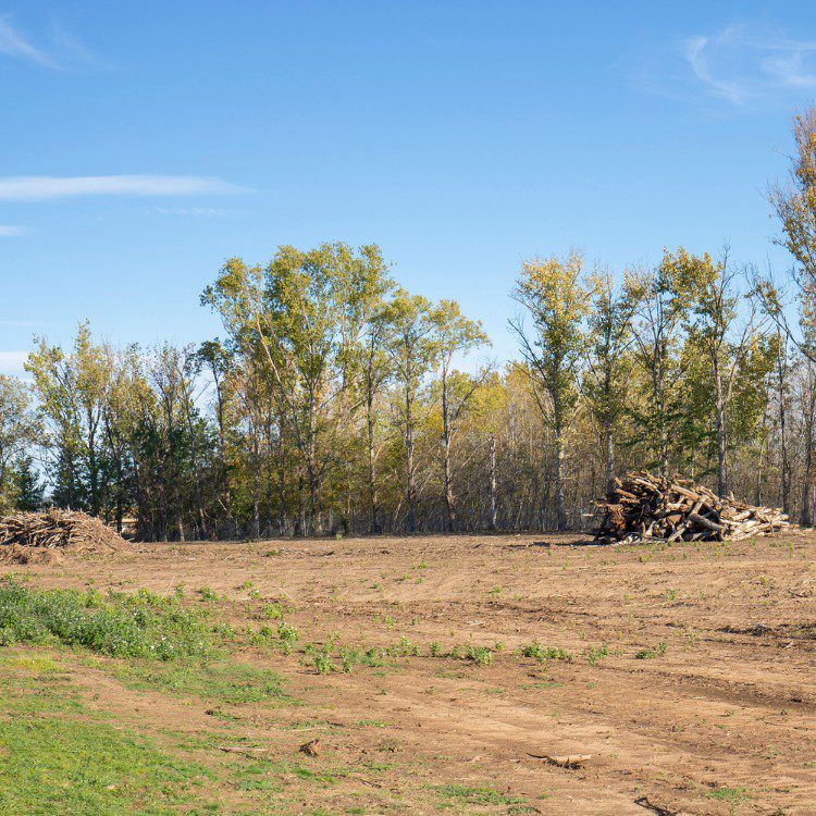Fire Mitigation Fire Mitigation