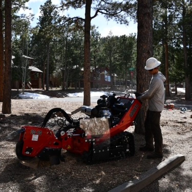 Stump Grinding