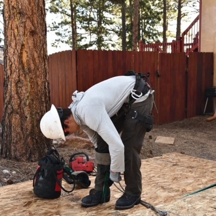 Wytcherley Tree Service